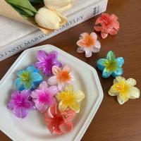 Pinza Para El Cabello De Tamaño Pequeño Con Diseño De Flores Y Gradientes Accesorio De Moda Para Mujeres Barra De Lazos De Plástico Para Decorar El Cabello - details 4