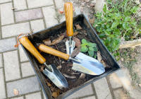 Pala de acero inoxidable de alta calidad, desmalezadora, mango de madera, juego de herramientas de jardinería de tres piezas - details 4