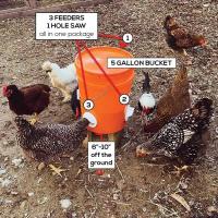 Kit De Dispensador De Alimentos Para Ponedoras De Pollo DIY Rainproof Ahorro De Alimentos Con Porta Alimentos Automático De Gravedad - details 3