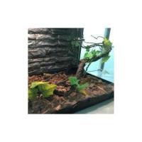 Selva de Plástico Flexible - Ramas de Vides - Simulación de Ramas de Escalada de Jungla - Rama de Esquina de Reptil Flexible - Lagarto - Decoración para Acuarios - details 3