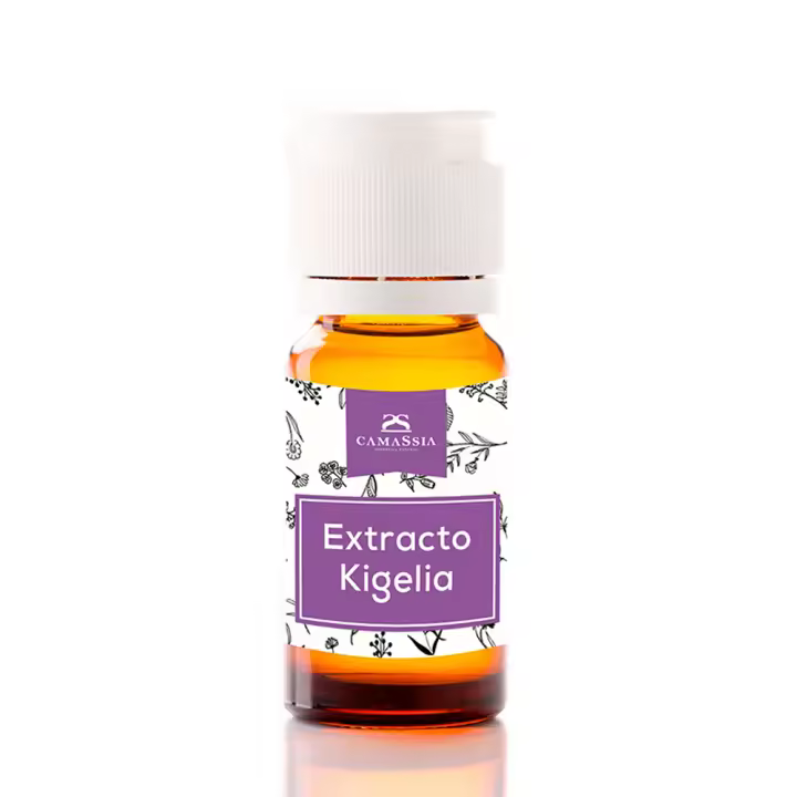 Camassia Extracto de kigelia | Extractos de plantas | Sin propilen glicol, sin conservantes - 1