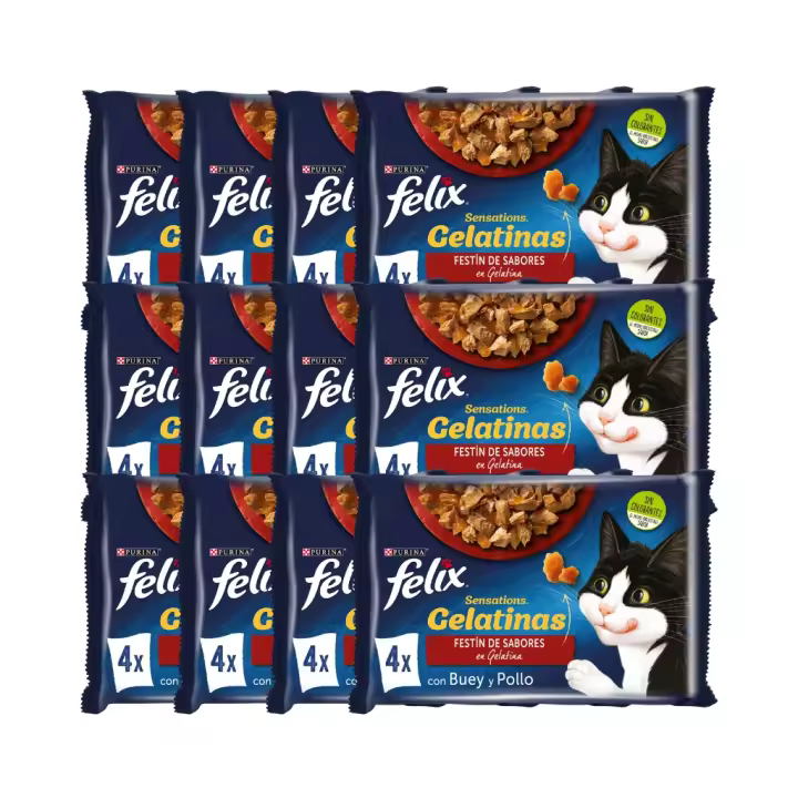 FELIX - Sensations Gelatina (48x85 gr) - Comida Húmeda Festín de Sabores (Buey y Pollo) (12x4x85 gr) - 1