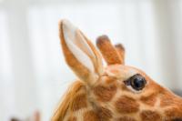Gran Peluche De Giraffa Real Vida Juguete De Peluche De Animal Suave Para Decoración De Habitación Regalo De Cumpleaños Para Niños - details 17