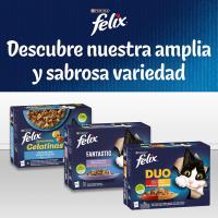Felix Purina Fantastic Comida Húmeda para Gato Adulto Pack Surtido, 44 sobres - details 5