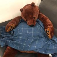 Oso De Peluche Marrón De 40cm Juguete Grande Oso Teddy Suave Cojín Almohada Para Niñas Regalos De Cumpleaños Juguetes De Animales De Peluche Unisex - details 9