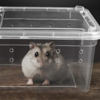 Caja De Cría Para Reptiles Acrópodo Tarántulo Geckos Insectos Tortugas - Contenedor De Habitable Para Anfibios Y Reptiles - details 0