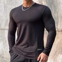 Camiseta Deportiva De Hombre 2024 Nueva Primavera Otoño Secado Rápido Camisa Manga Larga Para Gimnasio Y Correr Tops Ajustados - details 4