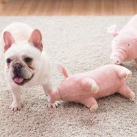 Juguete De Peluche Para Perros Y Gatos Almohadilla De Sueño Companion Mordedor De Algodón Para Pequeños Perros Bulldog Francés Divertido Juguete Para Moler Y Jugar - details 9
