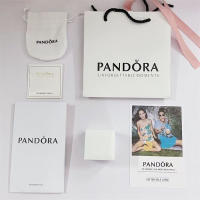 Pandora Abalorios de plata de ley con personajes de，Viene con un embalaje de caja de regalo completo. - details 2