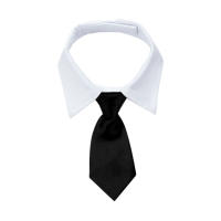 Collar De Cuello Para Gatos Con Lazo Ajustable Y Cómodo Accesorio Creativo Para Fotografía Y Fiestas Diarias APWIKOGER - details 0