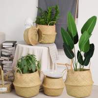 Cesta De Almacenamiento De Fibra De Planta Seagrass Tejida Con Flores Secas Para Decoración Del Salón Cesta De Ropa Y Escritorio Ecológica Y Práctica - details 2