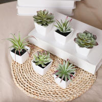 Juego De Macetas De Plástico Evergreen Para Decoración De Escritorio Y Oficina Estilo Suculentas Sin Mantenimiento Realista - details 2