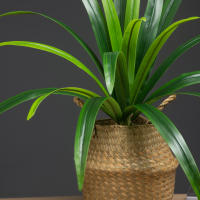 Planta Artificial De Gran Tamaño 60cm Con 18 Hojas De Orchidáceas Para Decoración De Jardín Interior Y Exterior Arbolado Falso Para Hogar Y Exposiciones - details 10