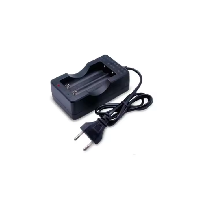 Gsc Evolution GSC Evolution - Cargador de Pilas Portátil para 2 Pilas con Luz LED Indicadora de Carga - 1