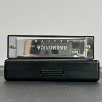 Harmonica Miwayer Profesional Con 10 Agujeros Instrumento Musical De Metal Para Bocina Para Principiantes - details 8