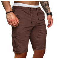 Shorts Casuales Para Diario Viaje Pantalones De Hombre Estilo Regular Cintura Media Polyester Primavera Verano Con Bolsillos - details 36