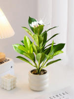 Plantas Artificiales De Azalea 21-40cm Falsas Hojas De Palma Tropicales Ficus Faux Con Flores Para Decoración De Hogar - details 4