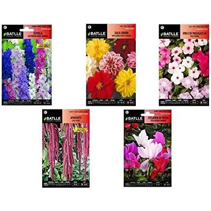 Semillas flores lote de 5 sobres Semillas BATLLE (Espuela, Dalia doble, Vinca, Amaranto y Cyclamen) - 1