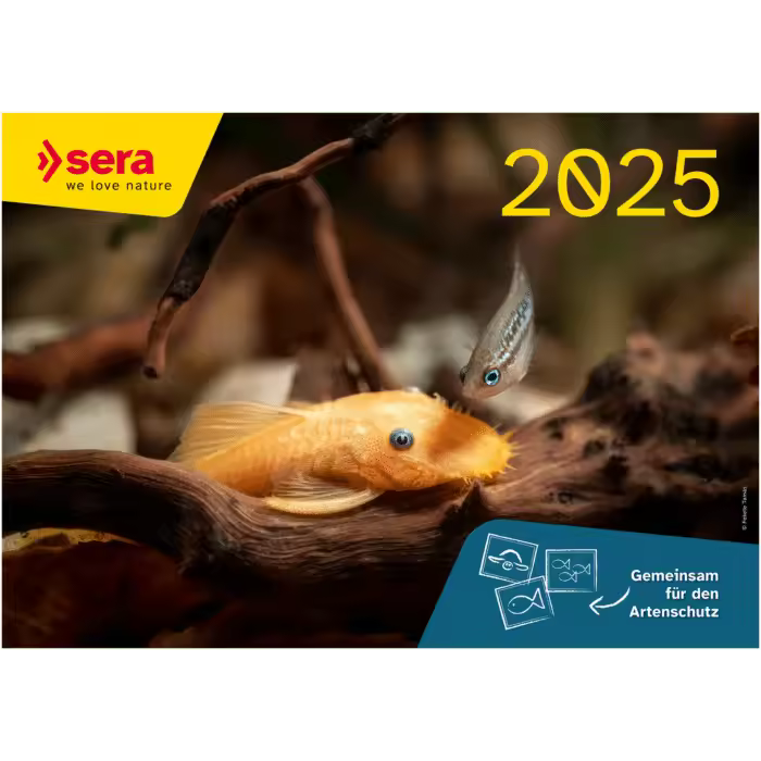 NETO Sera Calendarios 2025 - 1