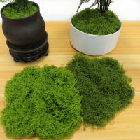 1PC DIY Hierba Artificial Verde Fresca Moss Para Jardín Terrariums Decoración De Centros De Mesa De Boda Micro Paisaje De Leno - details 5