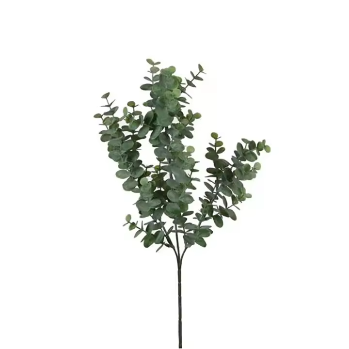 EUCALIPTO COLOR VERDE 65cm - 1