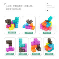 Cubo Mágico De Bloques Magnéticos Meilong MoYU Domains Cultura Juguete Versátil Para Niños Material Plástico Adecuado Para Edades 3-14+ - details 4