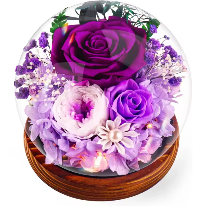 Purple Eternal Rose Gifts for Women, Preserved Infinity Roses Flower Light LED Eternal Gift Set Birthday, Rose Gifts for Mother, Girlfriend, Wife, Mother's Day, Anniversary - 1