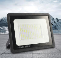 Spotlight LED Fuente De Iluminación Exterior IP65 10W 20W 30W 50W 100W Para Jardín Camino Puerta Puerta Farol Iluminación - details 0