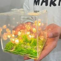 Lámpara Nocturna Creativa De Tulipán Y Cubo Del Mar DIY Tamaño Pequeño Material De Vidrio Para Regalo Ideal Para Parejas O Amigas - details 4