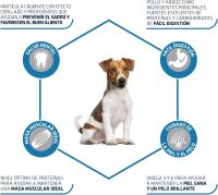 Advance Mini Adult Chicken, Pienso para Perros Adultos de Razas Pequeñas con Pollo, 7kg - details 2