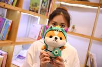 Muñeco De Peluche De 25cm Squirrel Shiba Inu Perro Corgi Cojín Suave Para Niños Regalo De Navidad Kawaii Valentin - details 11