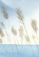 Cuadro "ORO AL VIENTO" Acuarela  Impreso en lienzo Alta Calidad Arte contemporáneo Natural marina con espigas juncos Dormitorios salón casa de campo o playa estudio yoga Paz Simplicidad contemplativa agua azul serenidad Paisaje etéreo Ref ANA DURAN A 063 - details 0