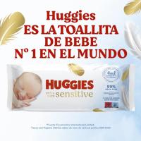 Huggies Extra Care Sensitive 1152 Toallitas (12 packs de 48 Toallitas) Cuidado 4 en 1 para Piel Sensible: Limpia, Calma, Protege contra la Irritación y Equilibra el PH. Clínica y Dermatológicamente Testado, sin Fragrancias ni Parabenos. - details 0