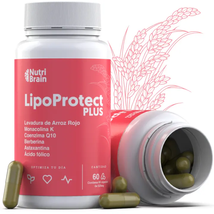 60 Capsulas LIPO-Protect PLUS Envase XXL (2 meses)  Regula el Colesterol y Triglicéridos con la Levadura de Arroz Rojo Concentrada (10mg), Berberina, Astaxantina, Ácido Fólico, Coenzima Q10  NUTRIBRAIN - 1