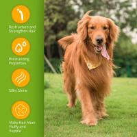 NOBLEZA Champú para Perros Pelo Largo, Champú Perros Piel Sensible y Dermatitis, champú para Perros Anti olores con Extracto de Hoja de Camellia Sinernsis, Fragancia de Lavanda y Cítricos 250 ml - details 2