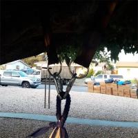 Par De Correas Para Silla De Arbol De 200kg Con Anillo De Gancho Fuerte Cinta Colgante Para Hamaca De Camping Adecuado Para Todas Las Tipos De Sillas De Arbol Al Aire Libre - details 9