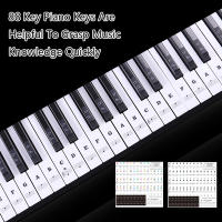 Piano Eléctrico Teclas 54/61/88 Clavijas Etiquetas De Sonido Nombre Teclado Electrónico Adhesivos Para Teclas - details 7