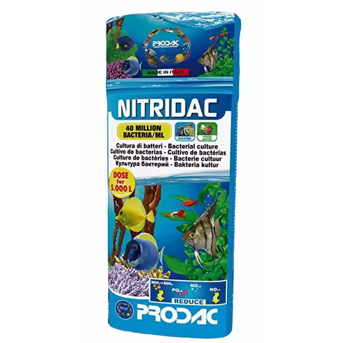PRODAC NITRIDAC 100 ML - 1