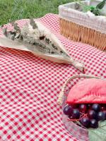 Rde Picnic Outdoor Tapete Plegable Gingham Manta De Picnic Reutilizable Lavable Máquina Estilo Pastoral Poliéster/Celulosa Trenzado - details 2