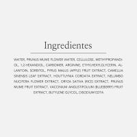 Beauty of Joseon Gel Exfoliante de Flor de Albaricoque (3.4 fl oz / 3.38 fl oz) - details 6