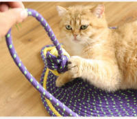 Juguete Divertido Para Gatos Ropa De Algodón Para Arranque Y Afilar Uñas Resistentes Al Desgaste Poste De Rasguñar Para Mascotas - details 3
