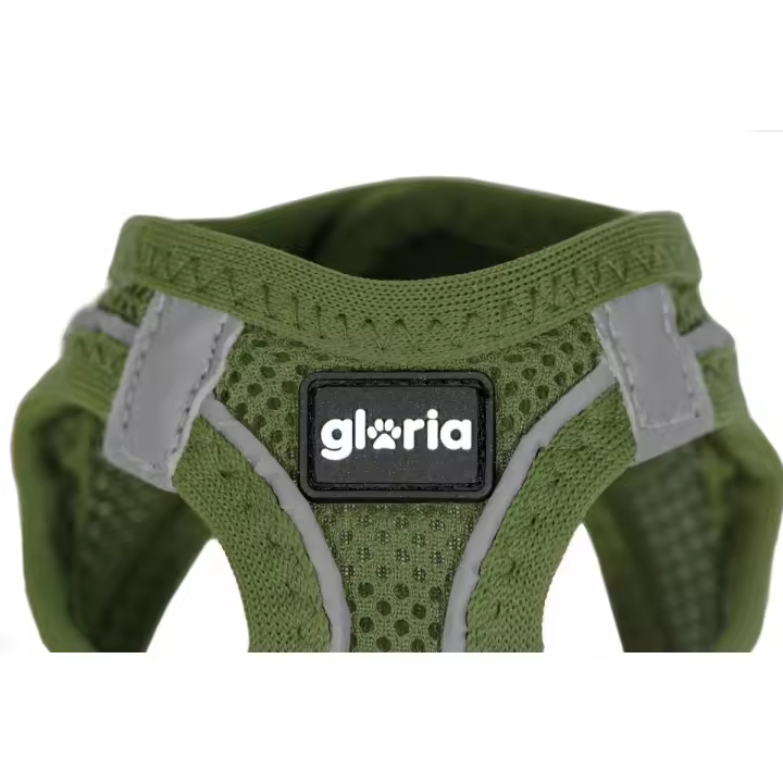 Arnés para Perro Gloria 24,5-26 cm Verde 18-20 cm - 1