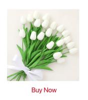 5/10pcs Hojas De Ciprés Para Decoración De Navidad Y Bodas Artesanías Y Flores Decorativas Plantas Artificiales De Prensa PP - details 2