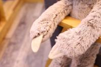 Muñeco De Peluche Realista De Sota Para Niños Y Amigos Lindo Regalo De Navidad Relleno De Algodón PP Tipo De Peluche Adecuado Para Todas Las Edades - details 19