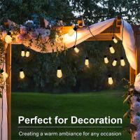 Luces De Cadena Solar LED Para Exterior Decoración De Navidad IP65 Impermeables S14 Guirnalda De Fiestas Para Jardín - details 15