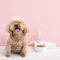Tazón Automático Para Perros Y Gatos Gran Capacidad Dispensador De Agua Y Alimento Para Mascotas Material Plástico - details 1