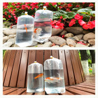 Bolsa Inflable Para Acuario 50Pcs Transporte De Peces Y Camarones Vida Longitudinal Resistente a Fugas Bolsa De Respiración Para Animales Vivos - details 4