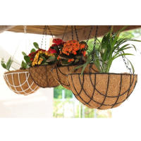 EasySpeed Macetero Colgante de Coco, Cesta para Colgar Plantas, Decoracion de Jardín, Maceta Coco Natural, Incluye Cadena y Ganchos - details 2