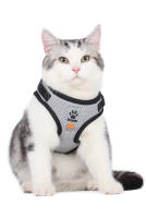 Harnés Para Gatos Con Correa Set De Verano Transpirable Malla Reflectante Para Perros Y Gatos Pequeños Con Cinturón De Pecho - details 7