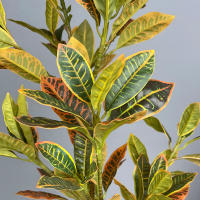 Planta Artificial De Tamaño Grande Codiaeum Falso 80-120cm Ficus Fiddle Hojas De Plantas Tropicales Para Decoración Del Hogar Material De Seda Origen China - details 8